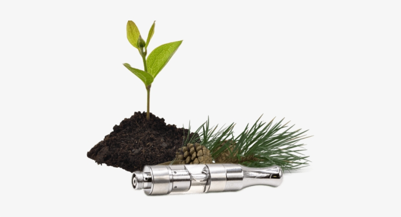 Cbd Vape Cartridge 200mg Gg - Cannabidiol, transparent png #1152744