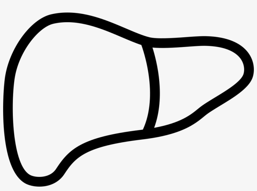 Liver Comments - Liver In Black And White, transparent png #1152847