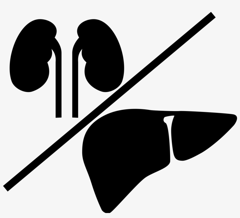 Open - Liver And Kidney Icon, transparent png #1152866