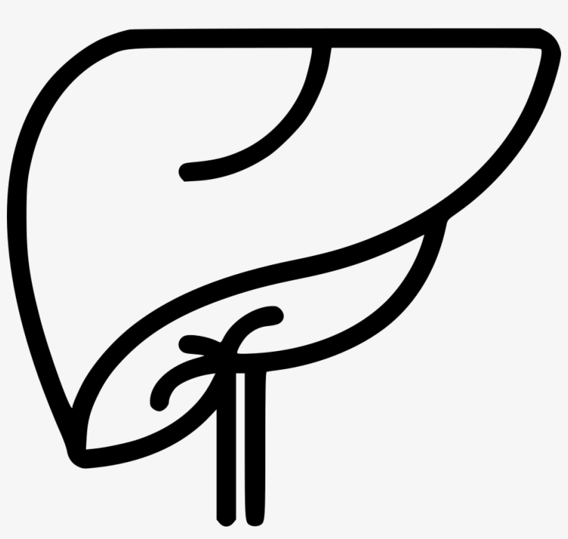 Liver Comments - Liver Clipart Black And White, transparent png #1153378