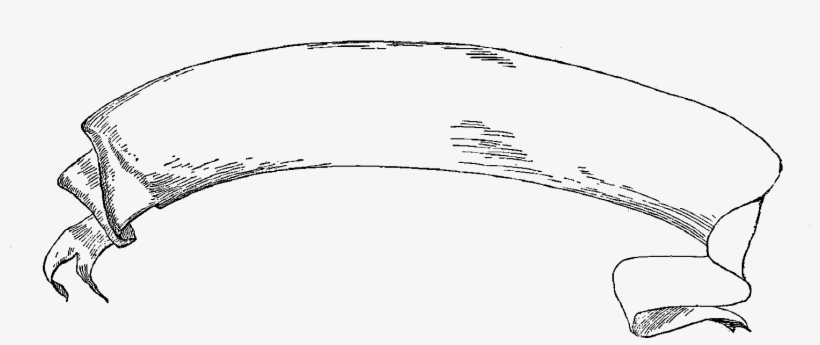 Banner Distressed Tattered Illustration - Vintage Blank Banners Png, transparent png #1153541