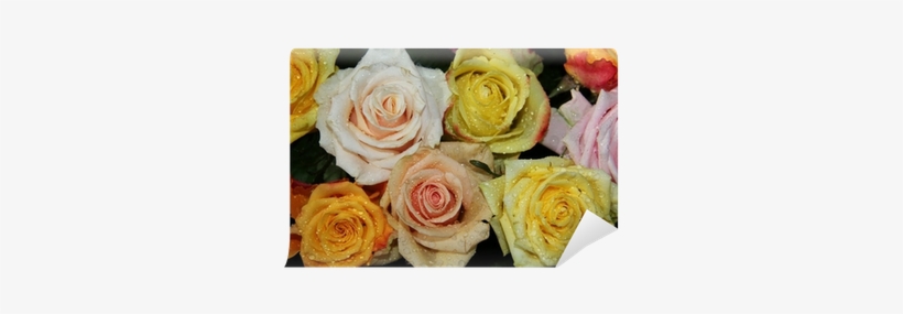 Painting, transparent png #1153676