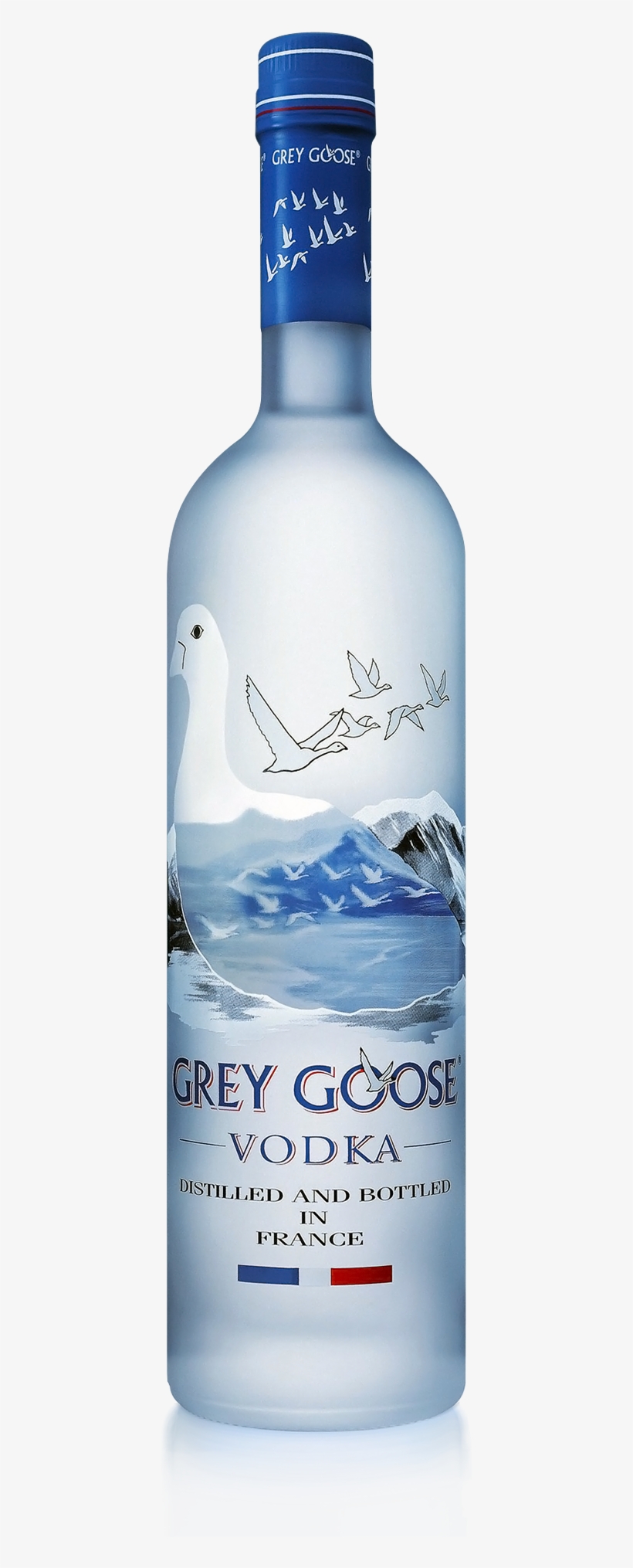 Grey Goose Vodka Bottle - Grey Goose Jeroboam Plain Vodka, transparent png #1153760