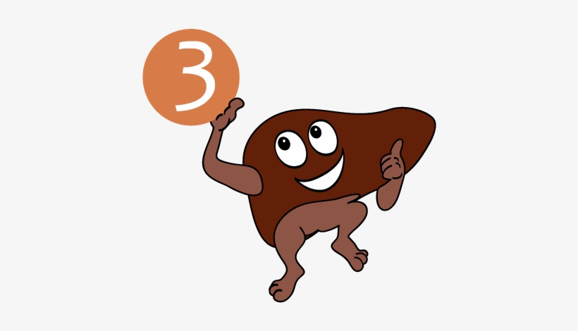 This Is When Organs Like Your Liver And Brain Do The - Skin, transparent png #1153947