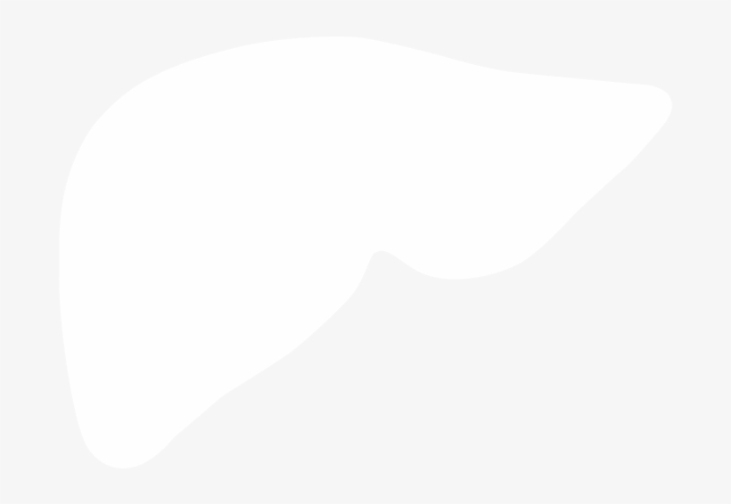 Liver - Toronto, transparent png #1154248