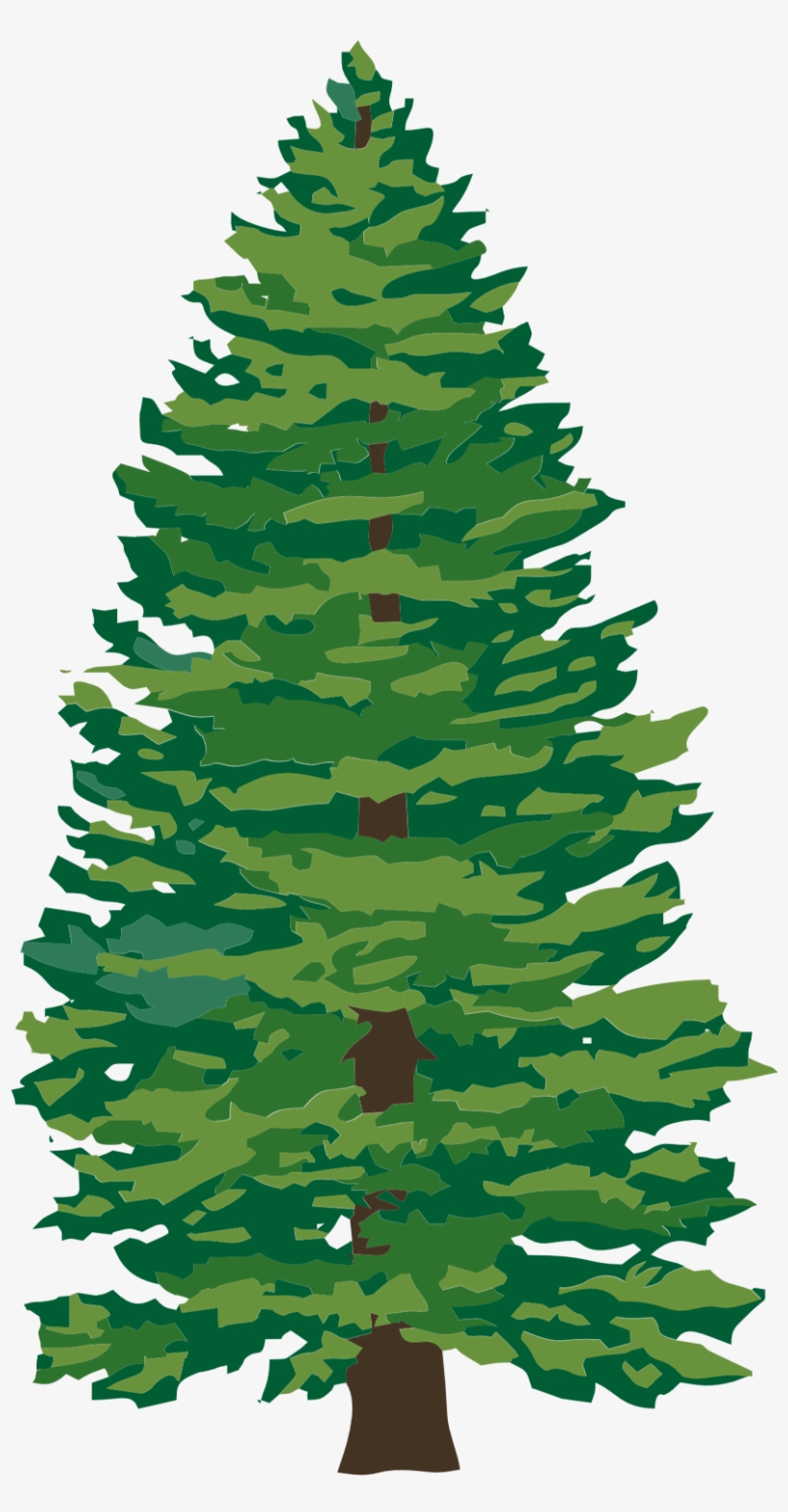 Tree Removal Dunkirk, Md Spences Tree Service Graphic - Tree Png, transparent png #1154354