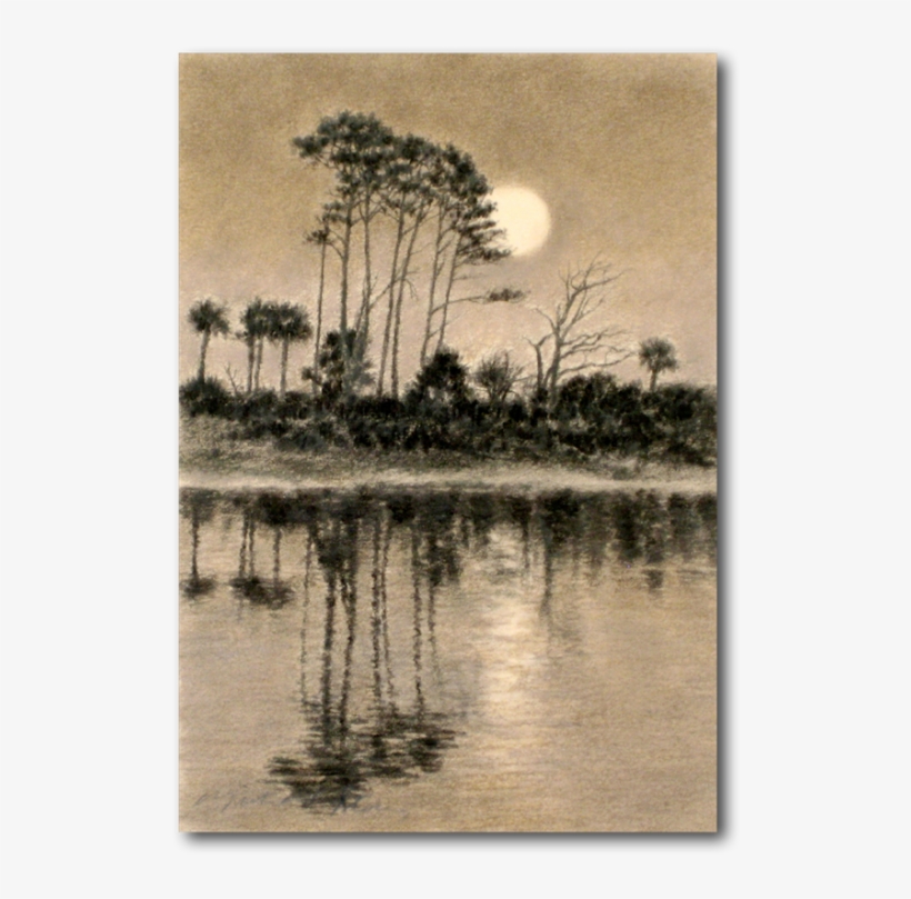 Home - American Pitch Pine, transparent png #1154890