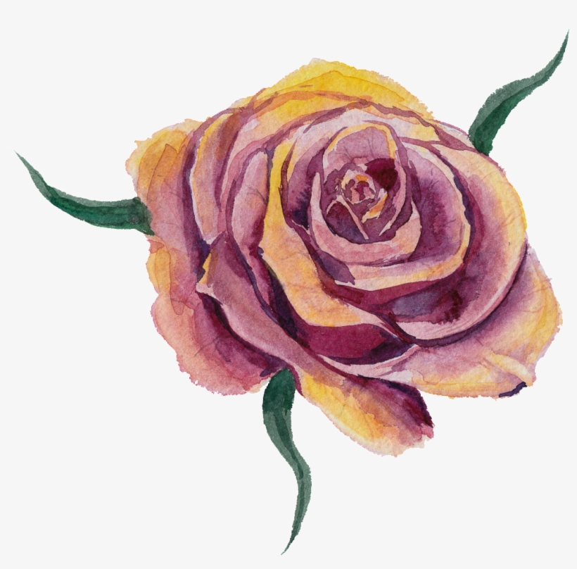 Purplish Yellow Flower Watercolor Transparent Flower - Vector Graphics, transparent png #1155986