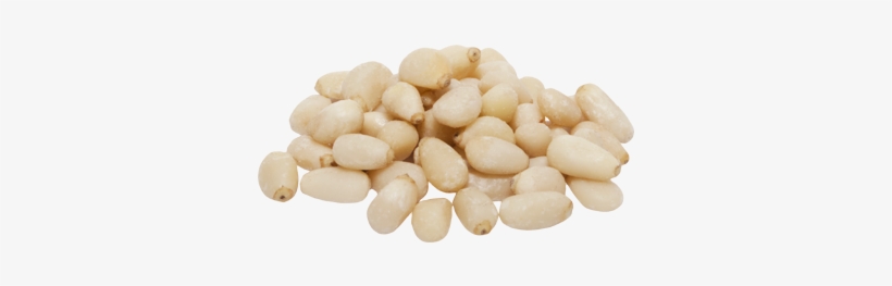 Pine Nuts Raw - Pine Nuts Png, transparent png #1156347