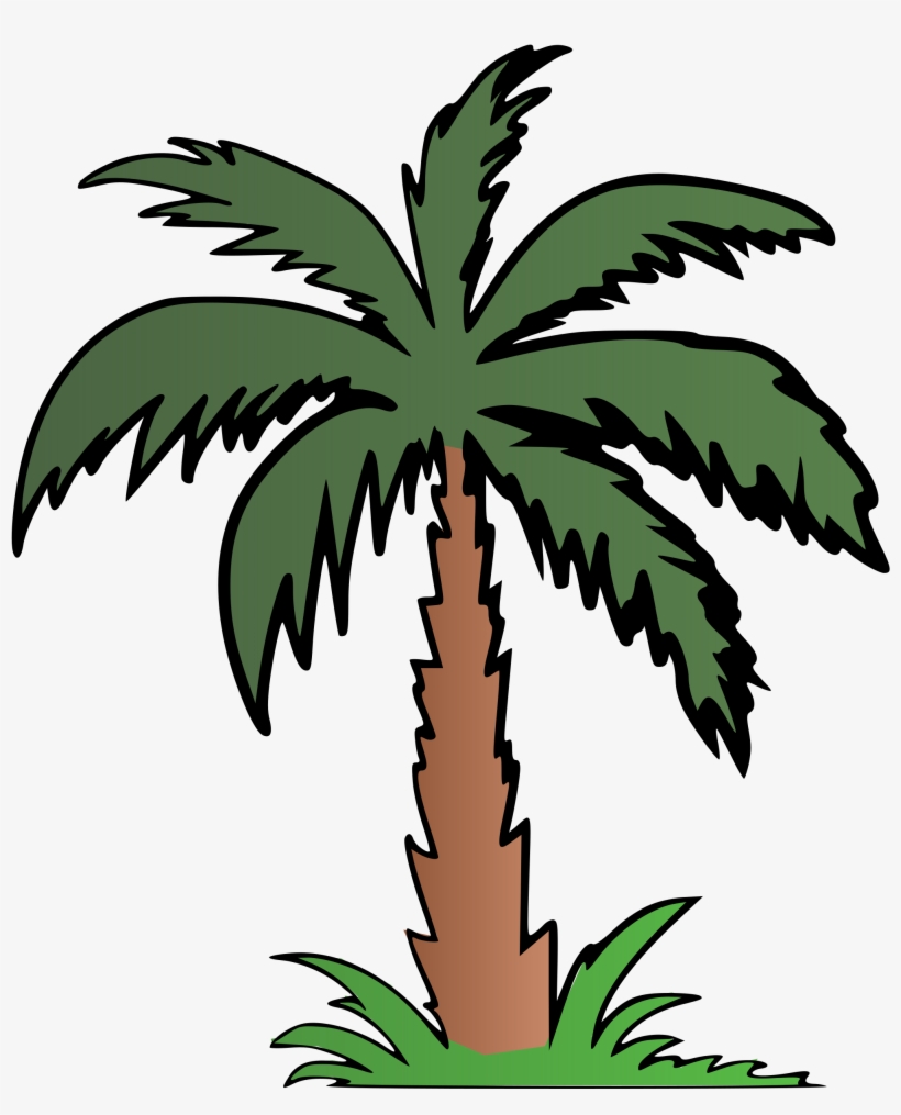 Palm Tree Clipart Terrestrial Plant - Palm Tree Colour, transparent png #1157769