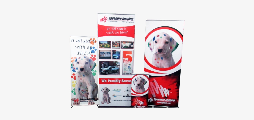 Banner Stands - Two Small Black And White Dalmatian Puppies, transparent png #1157790