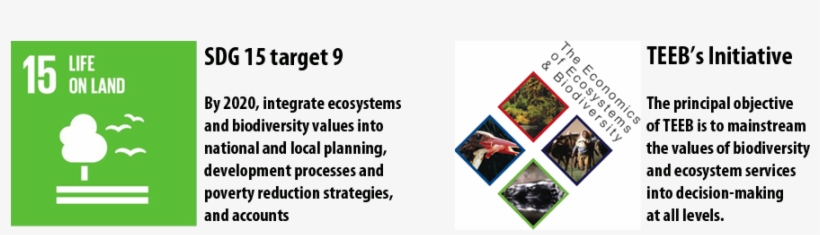 Banner Teeb Sdgs - Life On Land, transparent png #1157842
