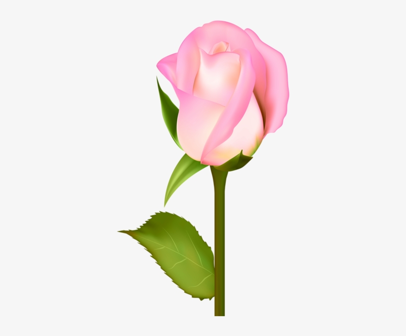 Pin By Jordan Jelev On Roses - Beautiful Rose Art, transparent png #1157903