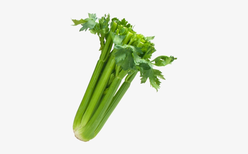 Celery Transparent Sleeved Image Black And White Download - Celery Sleeved, transparent png #1158138