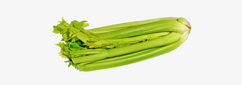 Celery Transparent Slice Stock - Png Celery, transparent png #1158296