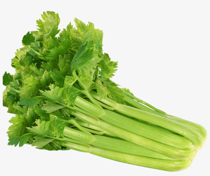 Celery Png Image - Celery Seeds 100 Seeds Vegetable Seeds, transparent png #1158384