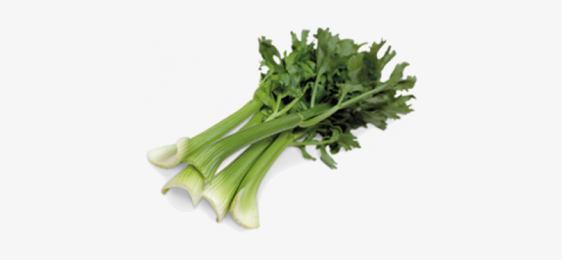 Celery, transparent png #1158541