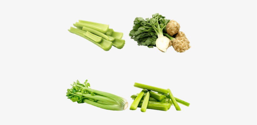 Celery - Celer Řapíkatý Balený 500g, transparent png #1158565