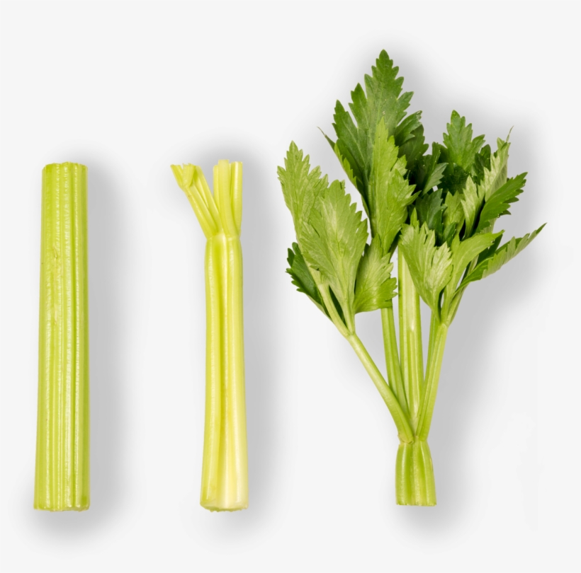 Celery - Grupo Lucas, transparent png #1158614