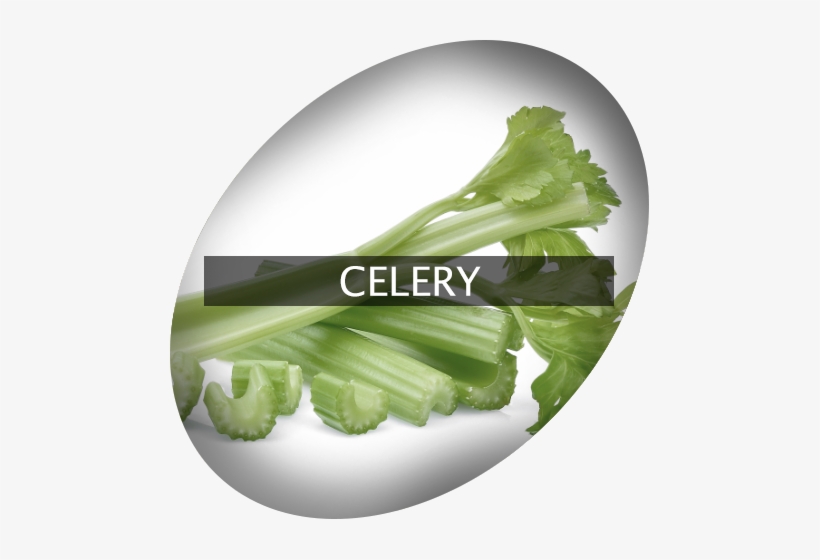 Landingimage Igrow Celery - Cruciferous Vegetables, transparent png #1158668