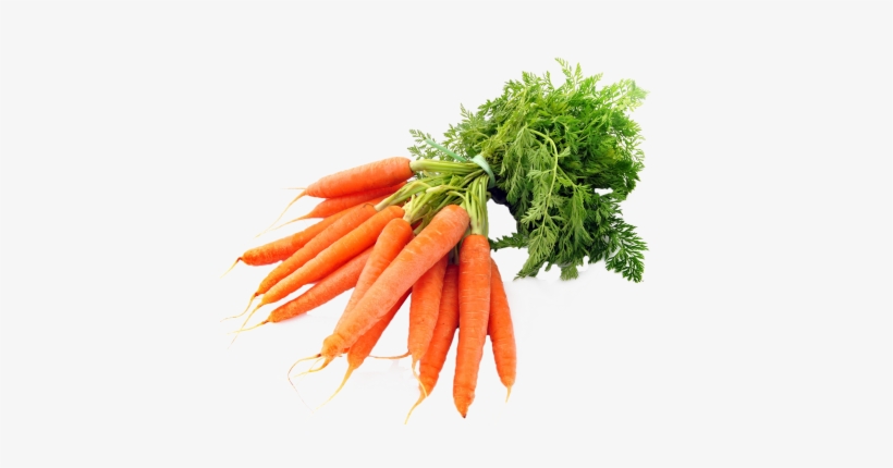 8 Months Ago 1169 121 - Transparent Background Carrot Png, transparent png #1158684