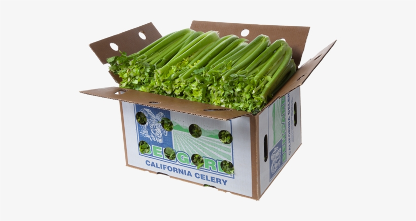 Celery - Naked Celery, transparent png #1158858