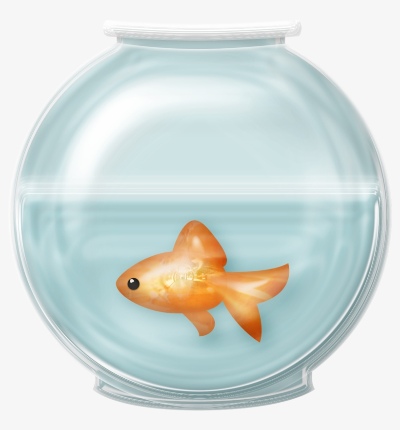 28 Collection Of Fish Bowl Clipart Free - Fish In Bowl Png, transparent png #1158902