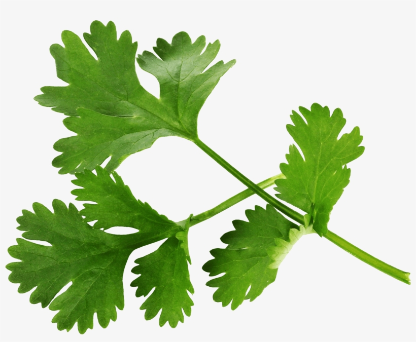 A Company With A - Parsley Free Download, transparent png #1158991