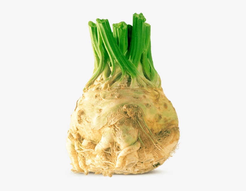 Root Celery Von Elo - Celeriac, transparent png #1159049