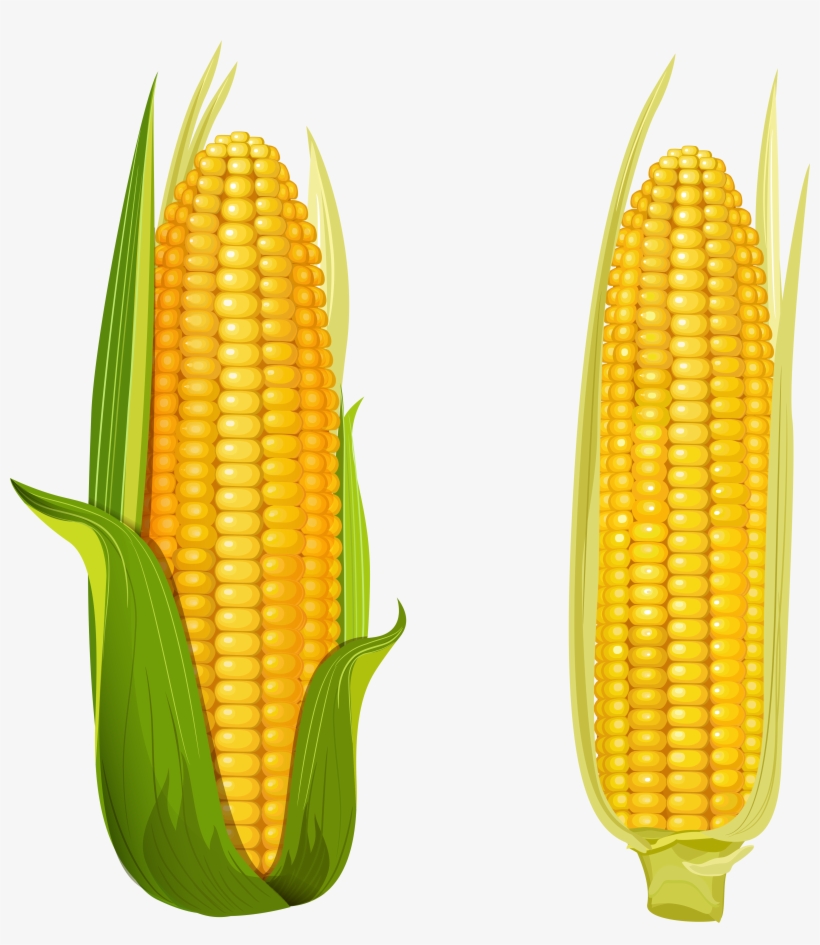 0 125c8e 4882674d Orig, transparent png #1159095