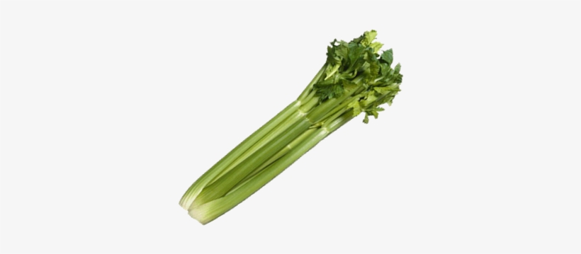 Celery Tall Utah Great Heirloom Vegetable Bulk Wholesale, transparent png #1159099