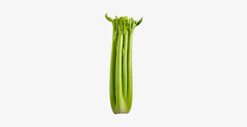 Celery Stalks - Celery, transparent png #1159276