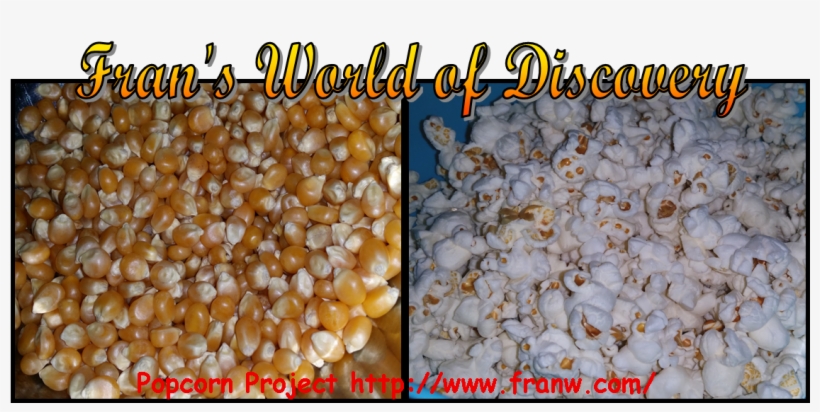 Popcorn Project - Corn Kernels, transparent png #1159407