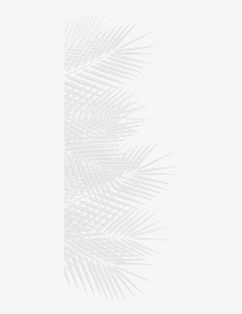 Calendars - Monochrome, transparent png #1161066