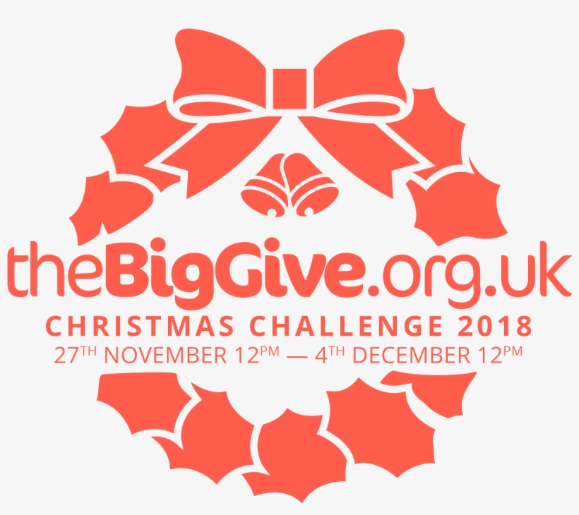 Next Week Sash Is Taking On The Big Give Christmas - Big Give Christmas Challenge 2017, transparent png #1161266