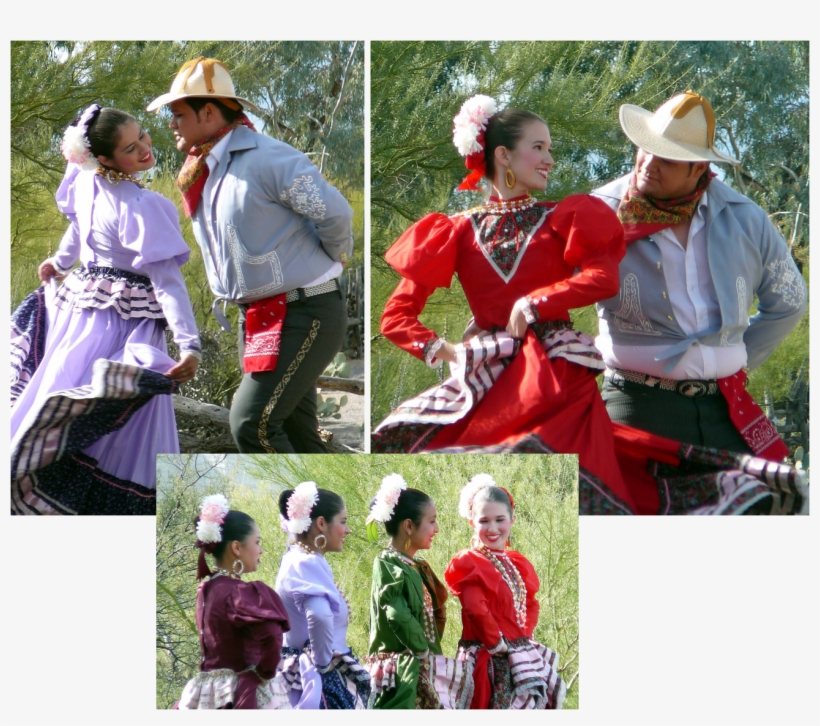 Over The Years My Relationship With Guadalupe Has Deepened - Tradition, transparent png #1161566
