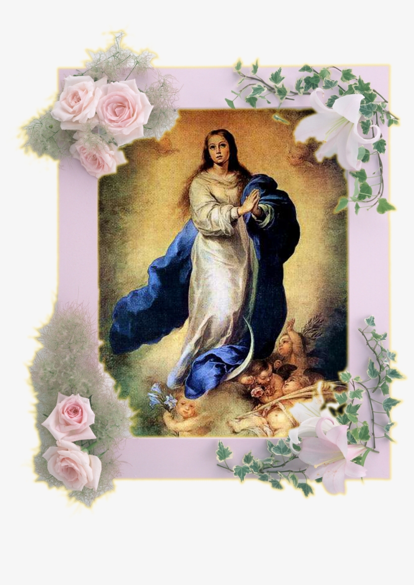 Asunción De La Santísima Virgen - Immaculate Conception 1665 By Bartolome Esteban Murillo, transparent png #1161886
