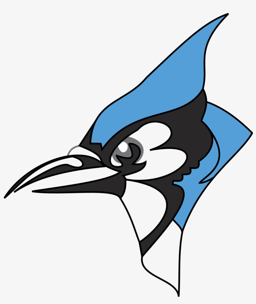 Blue Jay Head Middlesex Blue Jays Logo Free Transparent Png Download Pngkey