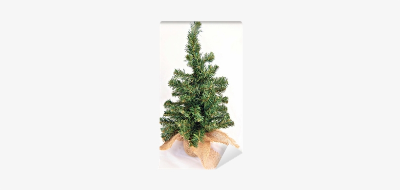 Christmas Tree, transparent png #1162511