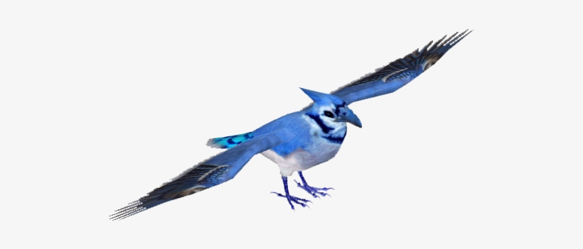 Bluejay Tamarahenson - Blue Jay, transparent png #1162817