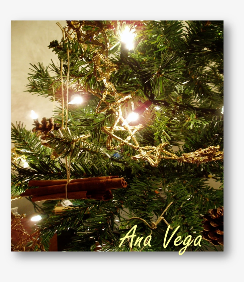 En La Antigüedad Se Conocía Como El Árbol De Yule, - Yule, transparent png #1162871