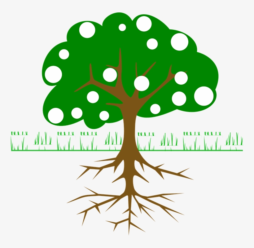 Banner Transparent Branch Transparent Mango - Tree With Fruits And Roots, transparent png #1162899