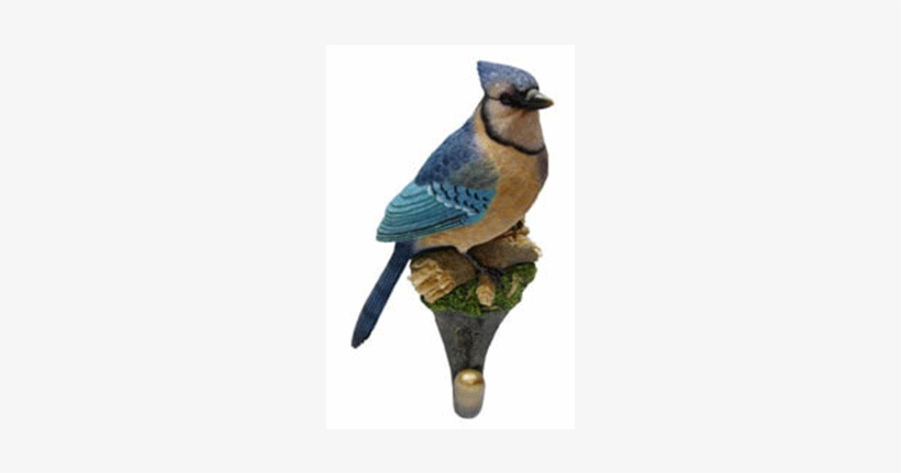 Bluejay Wall Hook - Nature's Window Bluejay Decorative Coat Hook, transparent png #1163001