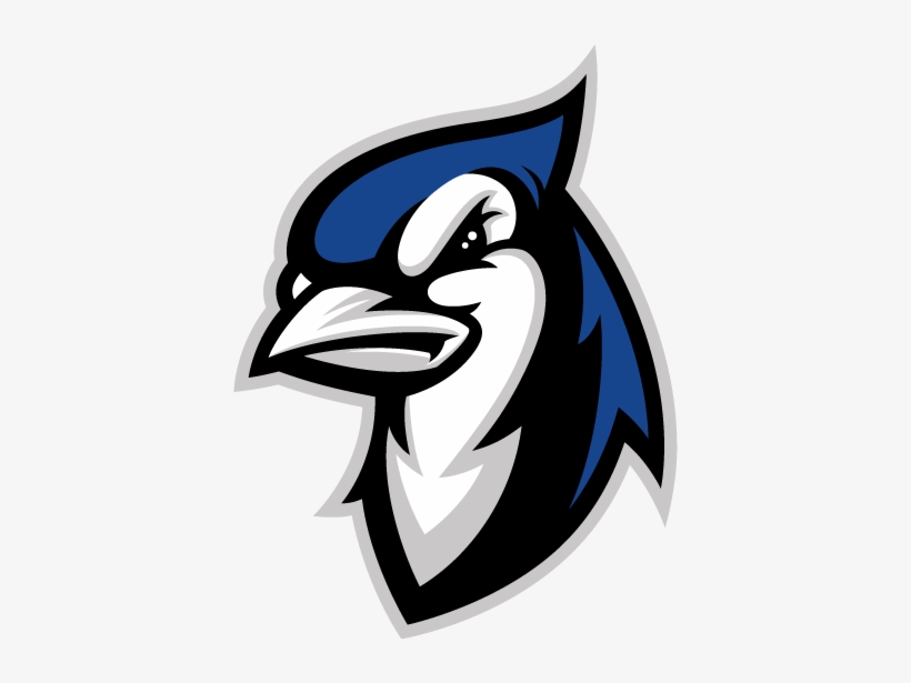 Identity Branding Logo And Character Development - Elizabethtown College Blue Jays, transparent png #1163148