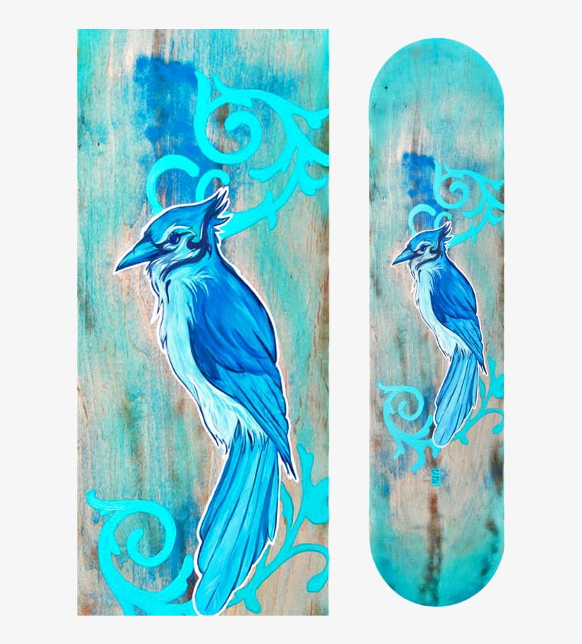 Blue Jay Board - Blue Jay, transparent png #1163249