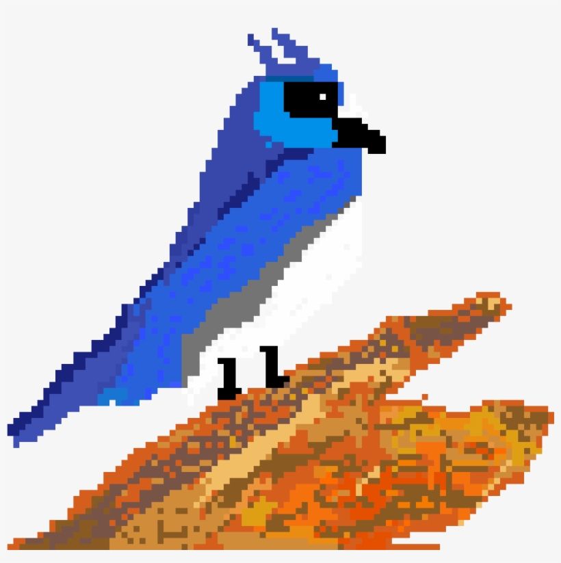 Blue Jay - Illustration, transparent png #1163452