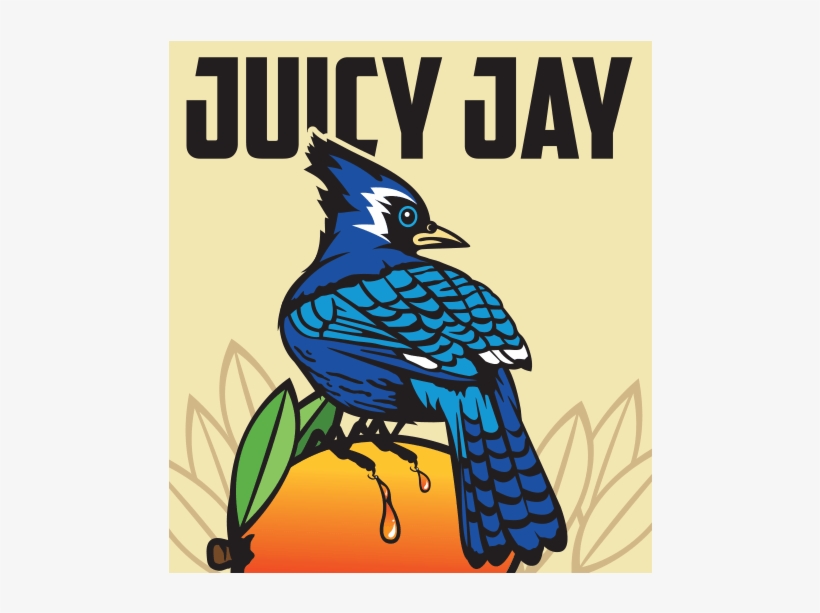 Blue Jay, transparent png #1163564