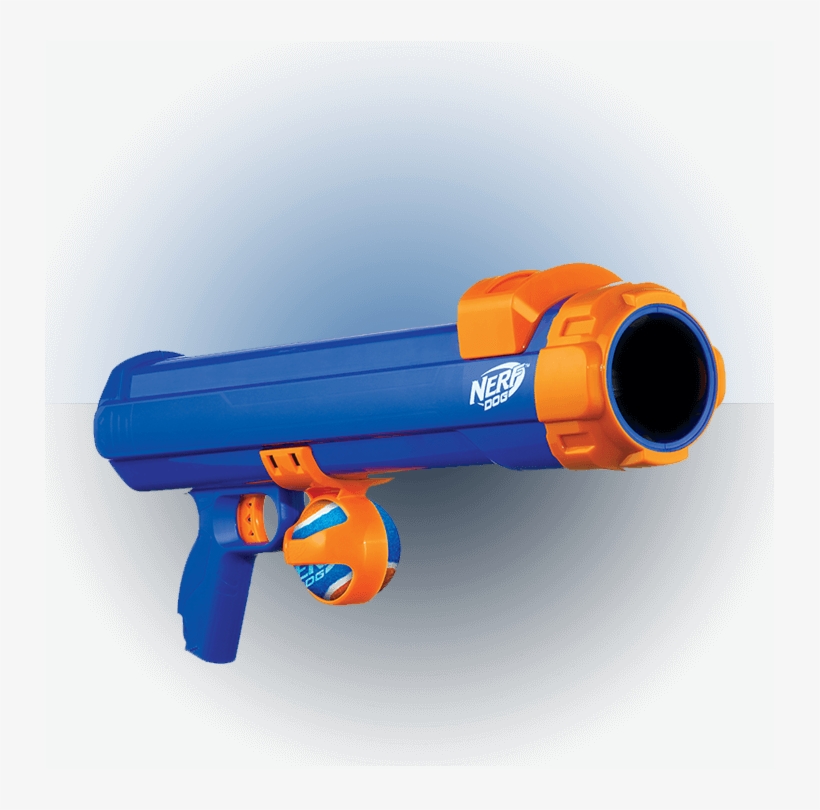 nerf dog blaster mod