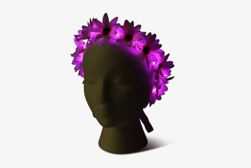 Light Up Flower Crown-littlelightlab - Flower, transparent png #1165215