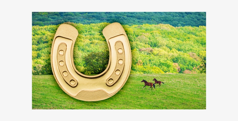 Golden Horseshoe, Cit Coin Invest Trust Ag / B - Gold, transparent png #1165481